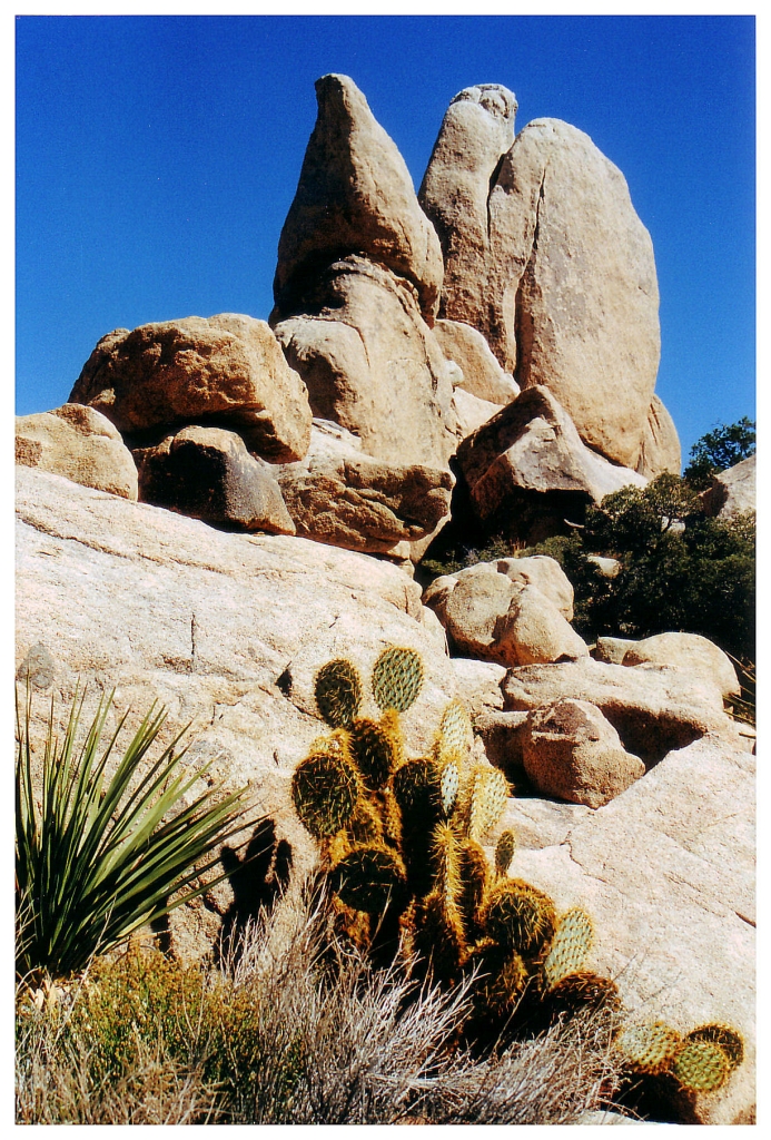 13 - Joshua Tree NP (6).jpg